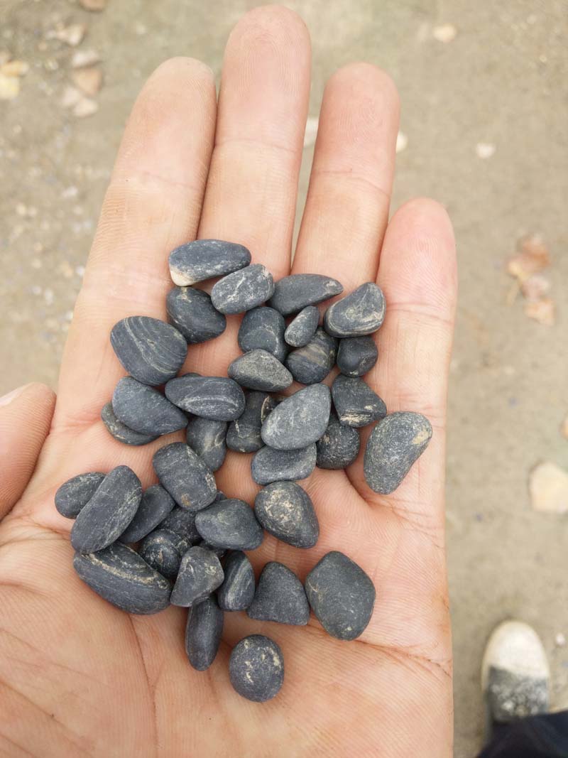 黑色2-4mm米石